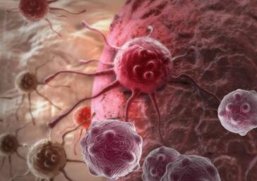 研究人员发现癌症是如何抵抗治疗的肿瘤